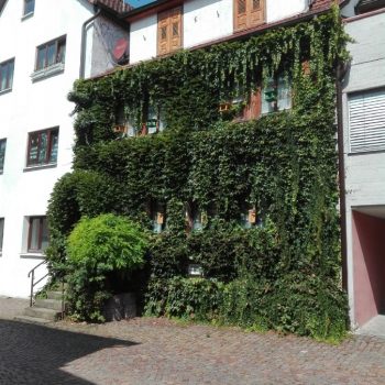 Verkauf DHH Gundelsheim